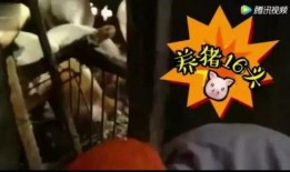 暗黑爆料在线吃 52每日大瓜视频